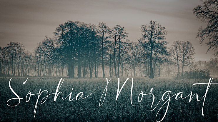 Sophia Morgant Font