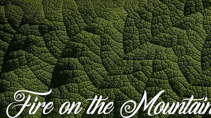Fire on the Mountain Font