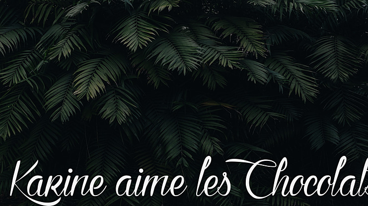 Karine aime les Chocolats Font