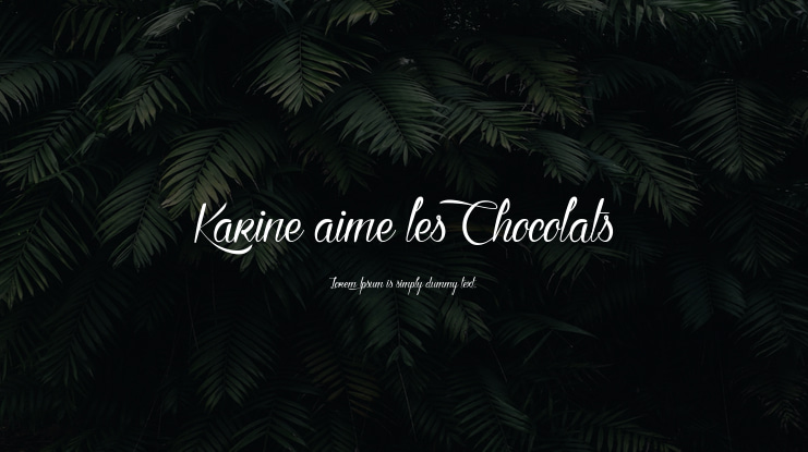 Karine aime les Chocolats Font
