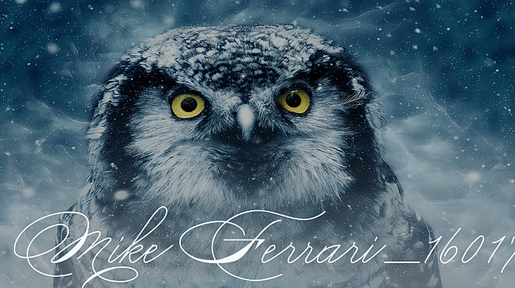 Mike Ferrari_16017 Font