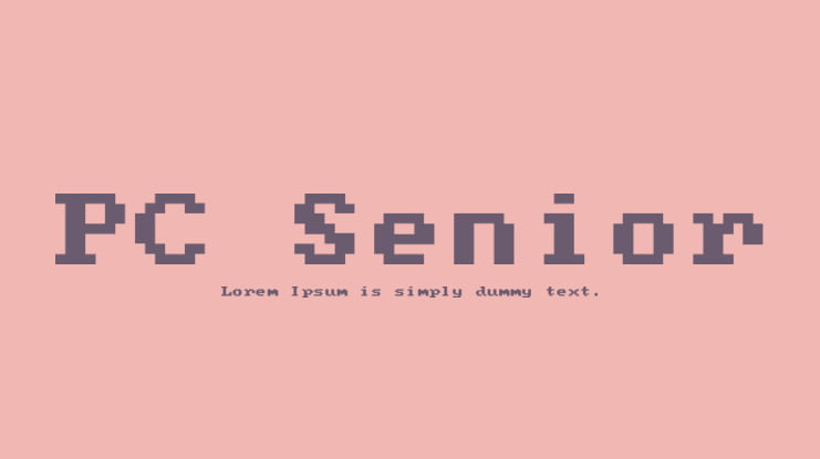 PC Senior Font