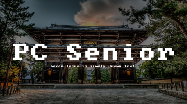 PC Senior Font