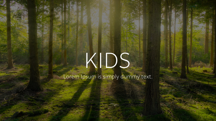 KIDS Font Family