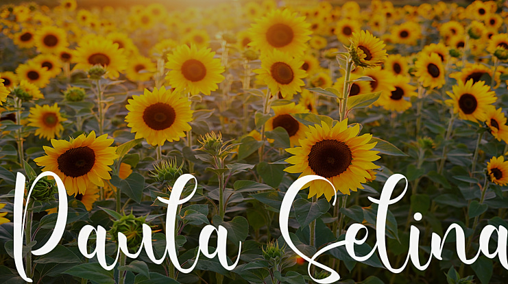 Paula Selina Font