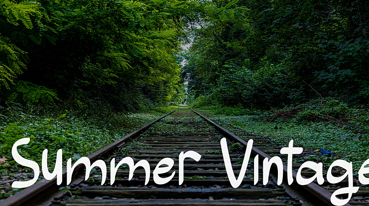Summer Vintage Font