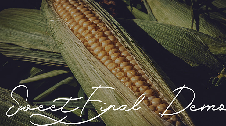 Sweet Final Demo Font