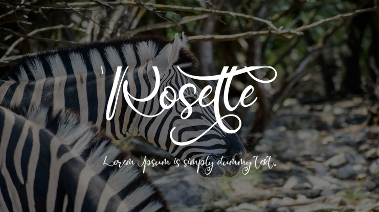 Rosette Font