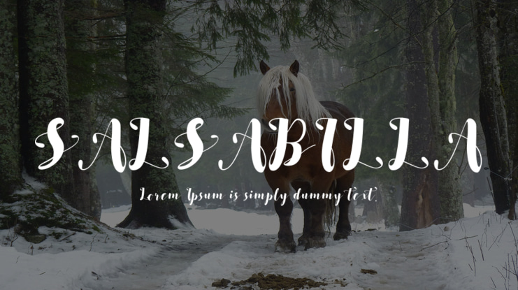 SALSABILLA Font