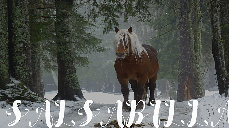 SALSABILLA Font