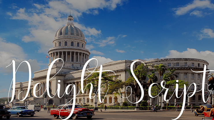 Delight Script Font