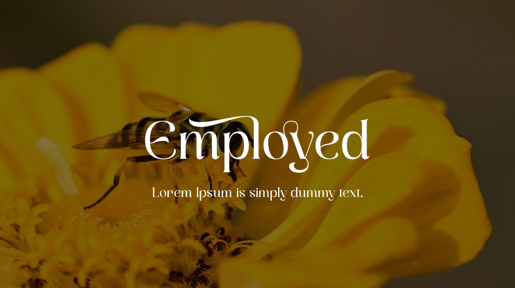 Employed Font