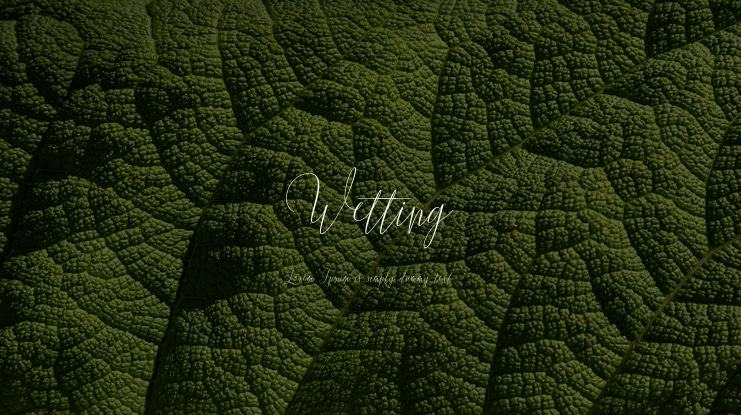 Wetting Font