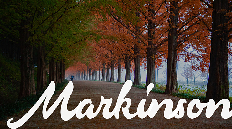 Markinson Font