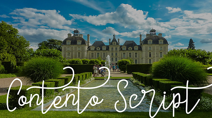 Contento Script Font