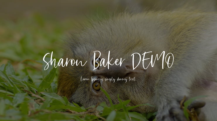 Sharon Baker DEMO Font