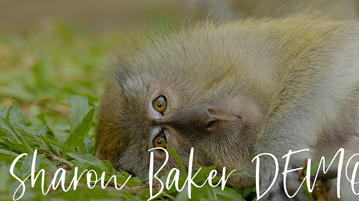 Sharon Baker DEMO Font