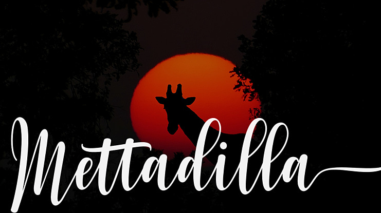 Mettadilla Font