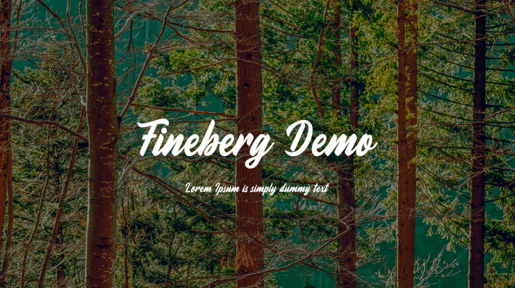 Fineberg Demo Font