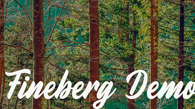 Fineberg Demo Font