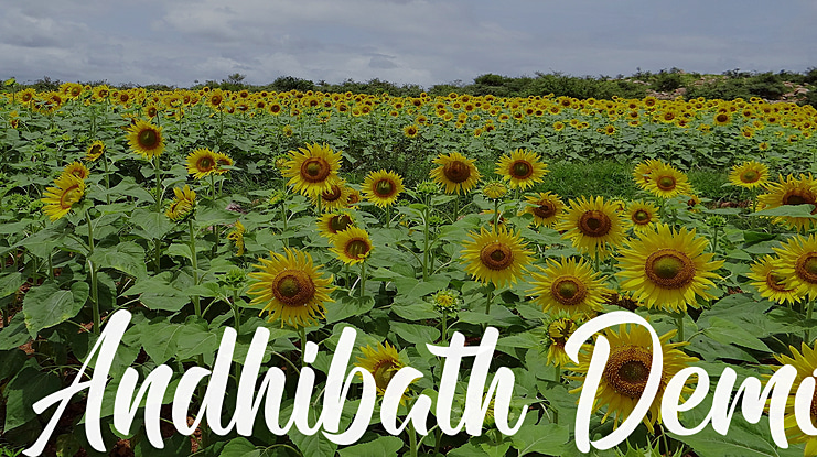 Andhibath Demo Font