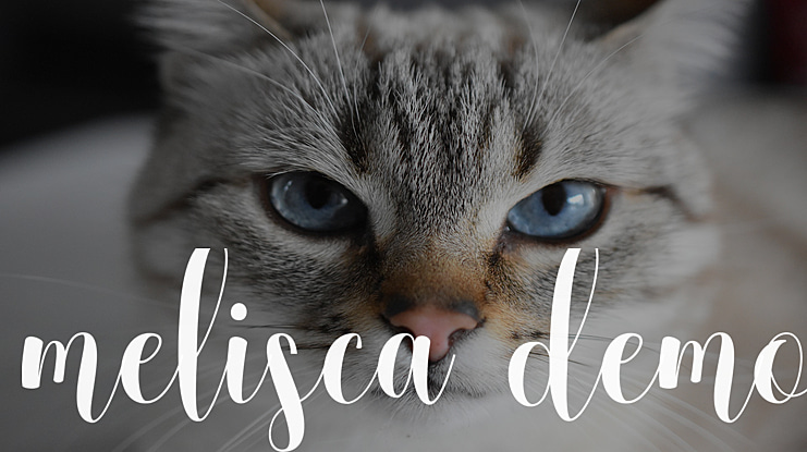 melisca demo Font