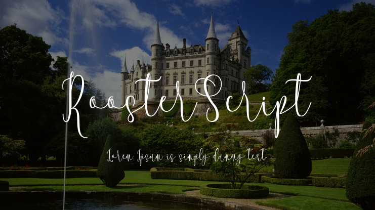 RoosterScript Font