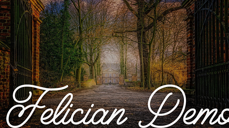 Felician Demo Font