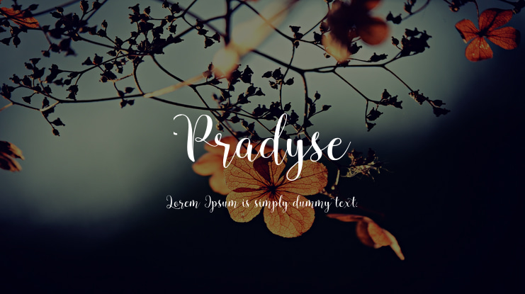 Pradyse Font