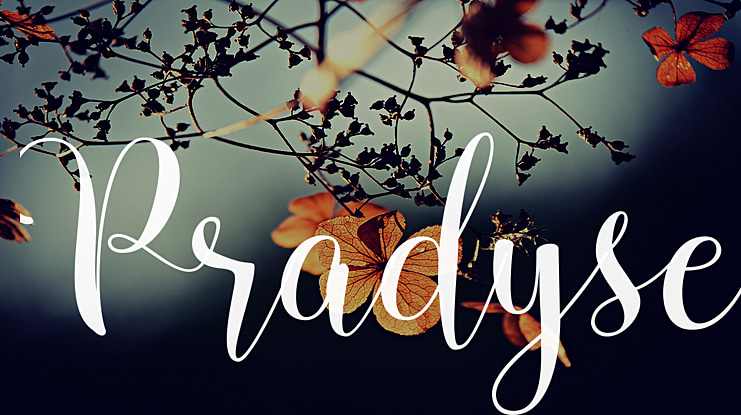 Pradyse Font