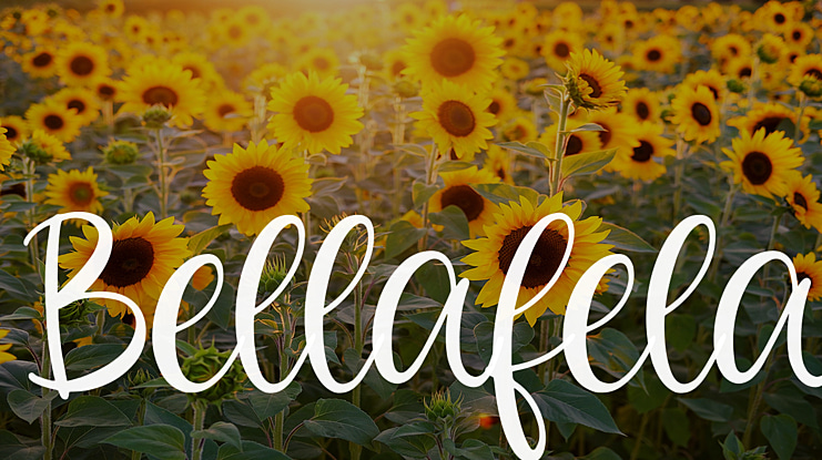 Bellafela Font