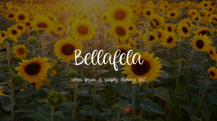Bellafela Font