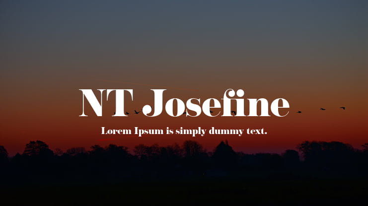 NT Josefine Font