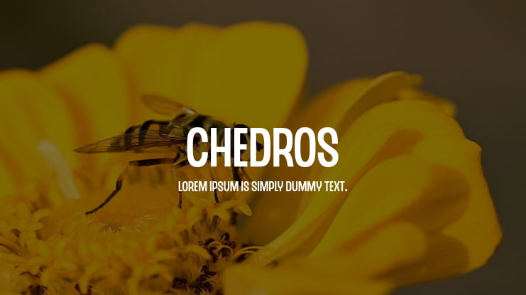 CHEDROS Font