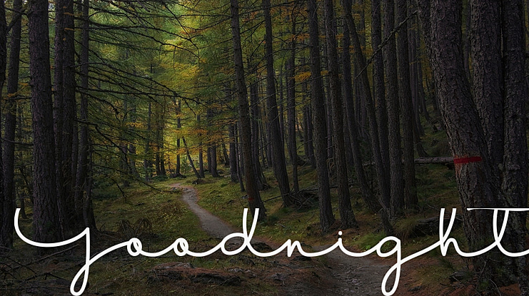 Goodnight Font Family