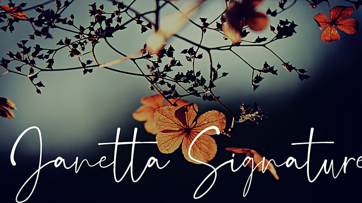 Janetta Signature Font