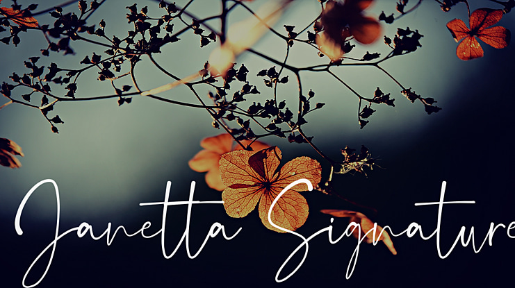 Janetta Signature Font