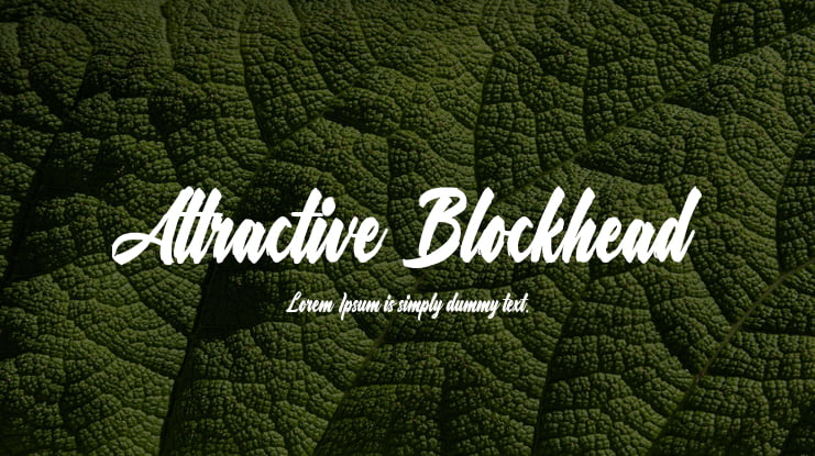 Attractive Blockhead Font