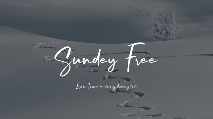 Sundey Free Font Family