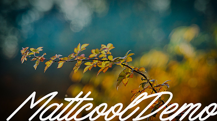 MattcoolDemo Font