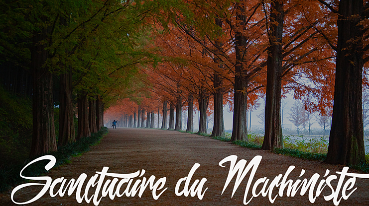 Sanctuaire du Machiniste Font