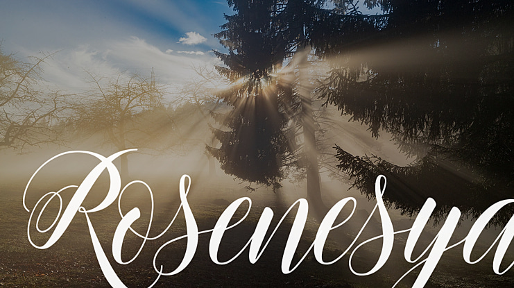 Rosenesya Font