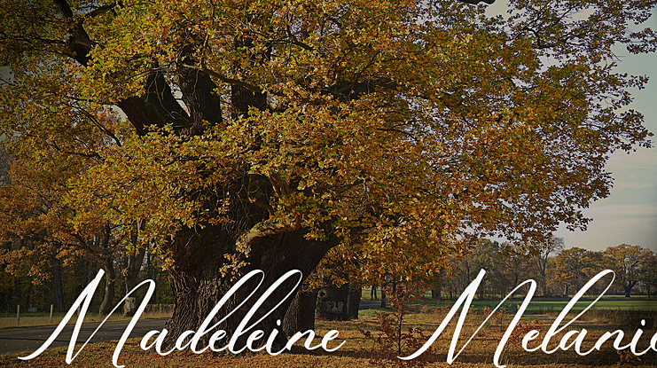 Madeleine Melanie Font
