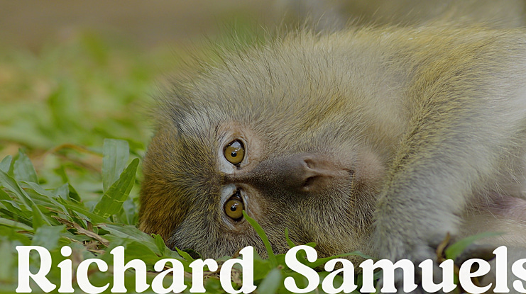 Richard Samuels Font