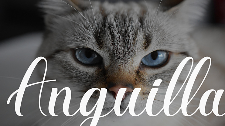 Anguilla Font