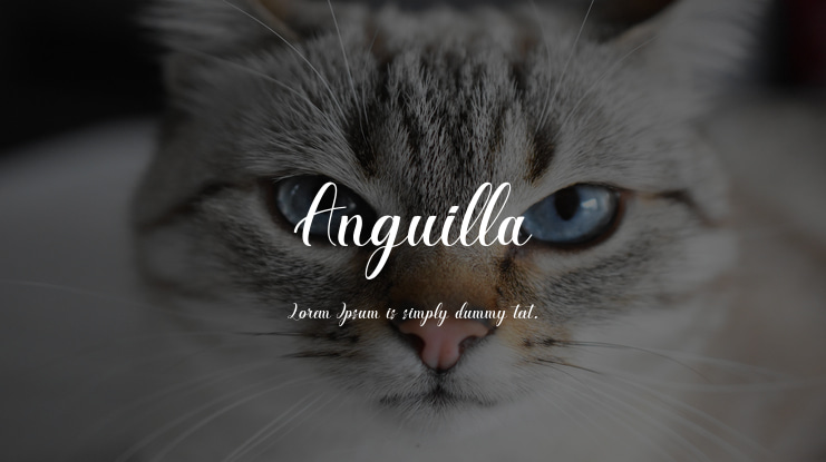 Anguilla Font