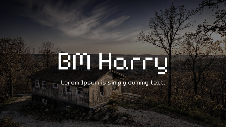 BM Harry Font