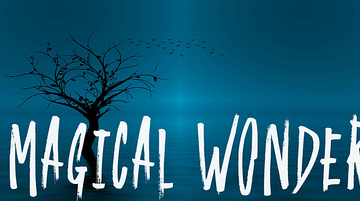 Magical Wonder Font