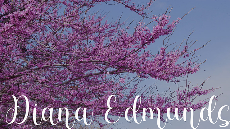Diana Edmunds Font