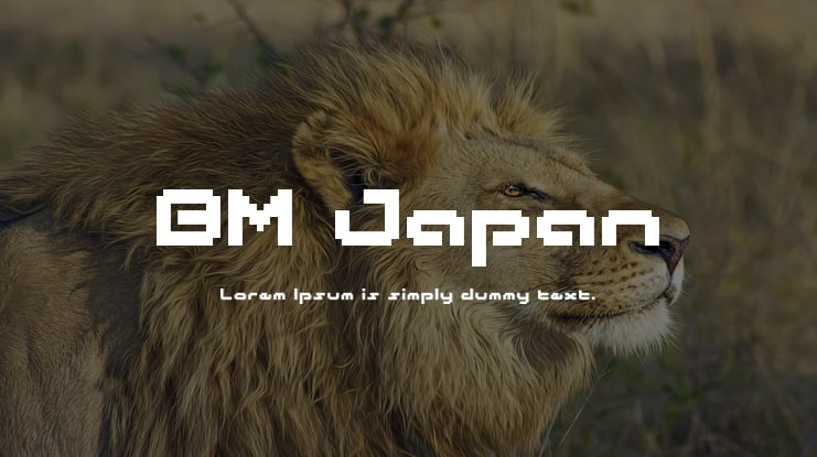 BM Japan Font
